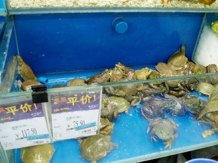 Продукты в китайском супермаркете