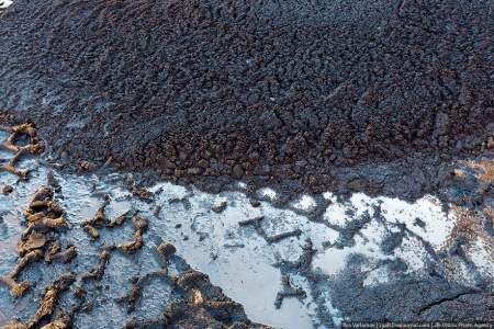 Как делают оливковое масло