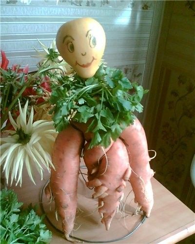 Забавный урожай собрали