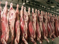 В Китае продают зараженное свиное мясо